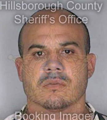 Tirado Reinaldo - Hillsborough County, FL 