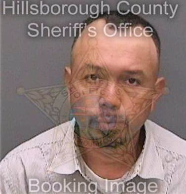 Medinaibarra Miguel - Hillsborough County, FL 