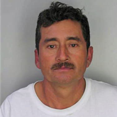 Lopezantonio Silvano - Hillsborough County, FL 