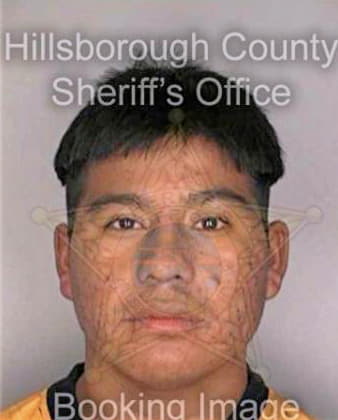 Silverramirez Jorge - Hillsborough County, FL 