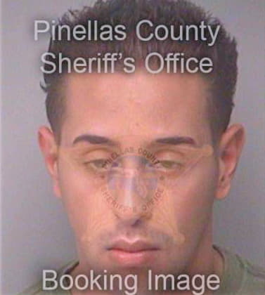 Alnajjar Sammy - Pinellas County, FL 