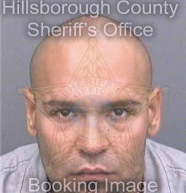 Gonzalezruiz Roberto - Hillsborough County, FL 