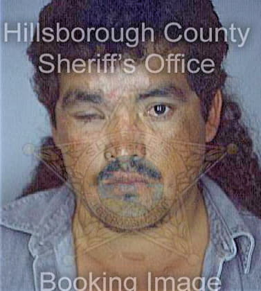 Hernandez Carlos - Hillsborough County, FL 