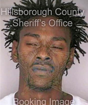 Smiley Don - Hillsborough County, FL 