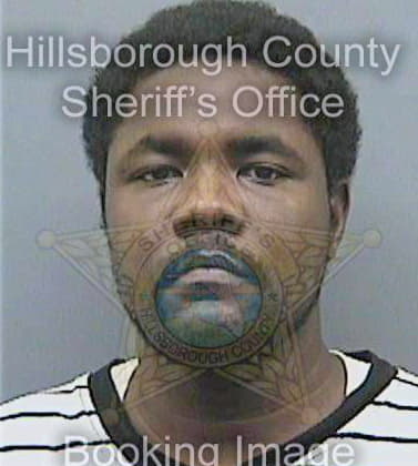 Desir Gelin - Hillsborough County, FL 