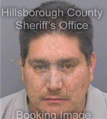 Garcia Jesus - Hillsborough County, FL 