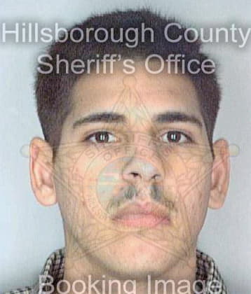 Enriquez Jonathan - Hillsborough County, FL 