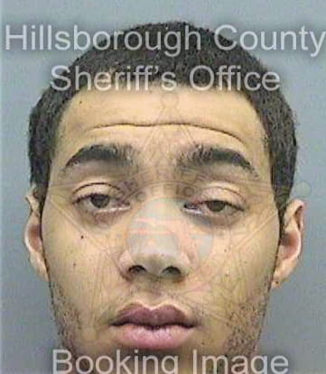 Mcauley Tavon - Hillsborough County, FL 