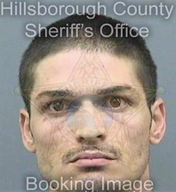 Perez Jose - Hillsborough County, FL 