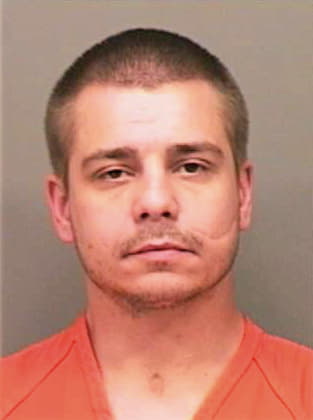 Blankenship David - Montgomery County, TN 