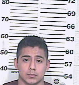 Hernandez Hector - Hidalgo County, TX 