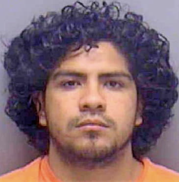 Velazquez Luis - Lee County, FL 