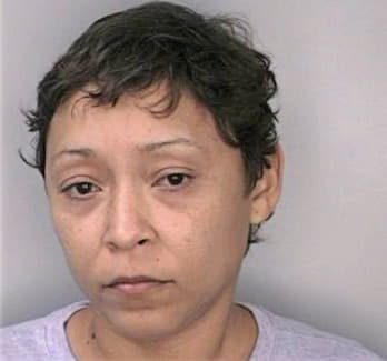 Melendezcastro Solsiare - Hillsborough County, FL 