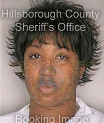 Merriwether Michelle - Hillsborough County, FL 