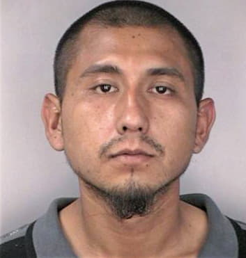 Vargas Ricardo - Hillsborough County, FL 