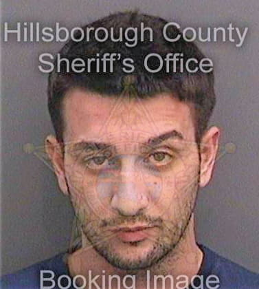 Tebaldi Nicholas - Hillsborough County, FL 