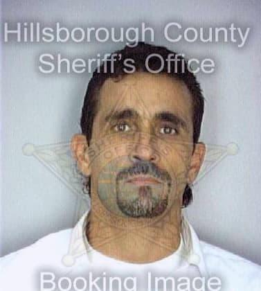 Maiquez Ernesto - Hillsborough County, FL 