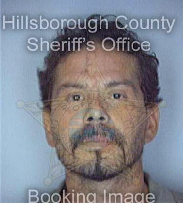 Vega Nelson - Hillsborough County, FL 