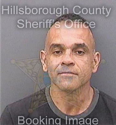 Ortiz Ismael - Hillsborough County, FL 