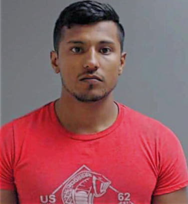 Hernandez Nestor - Hidalgo County, TX 