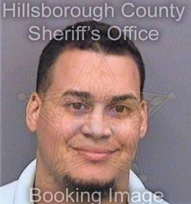 Campos Denzel - Hillsborough County, FL 