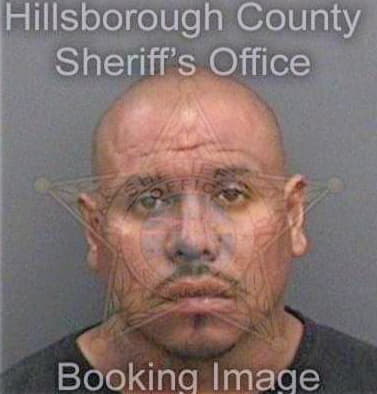 Pinaalvarez Edgar - Hillsborough County, FL 