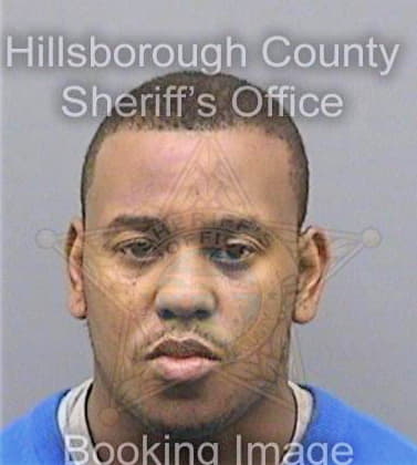 Saunders Vincent - Hillsborough County, FL 