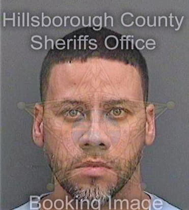 Pena Reinaldo - Hillsborough County, FL 