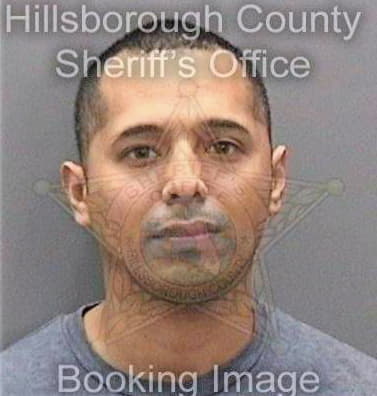 Brenes Victor - Hillsborough County, FL 