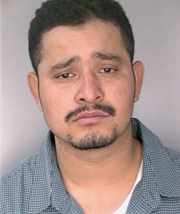 Espinozaalfaro Jose - Hillsborough County, FL 