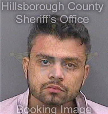 Patel Dhruvalkumar - Hillsborough County, FL 