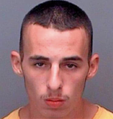 Jarrett David - Pinellas County, FL 