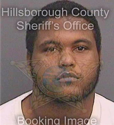 Ortiz Andre - Hillsborough County, FL 