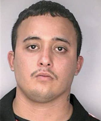 Gonzalez Carlitos - Hillsborough County, FL 