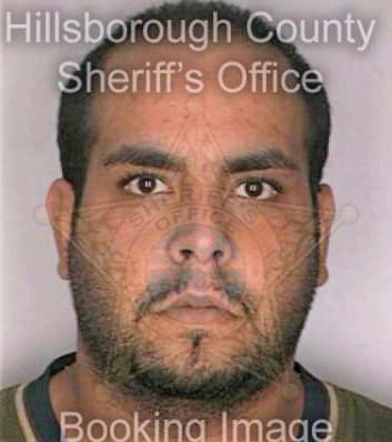 Jimenez Jorge - Hillsborough County, FL 