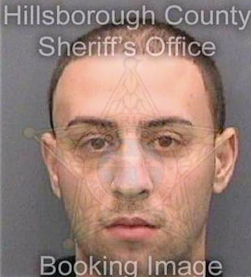 Brito Gabriel - Hillsborough County, FL 