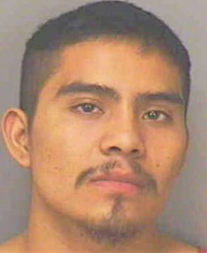 Galindo Gaston - Polk County, FL 