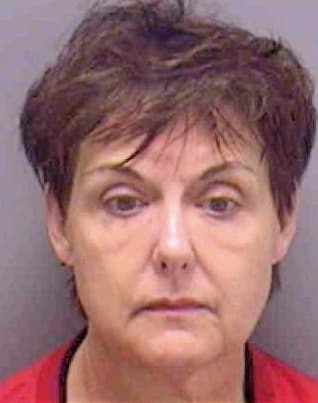 Snyder Paula - Lee County, FL 