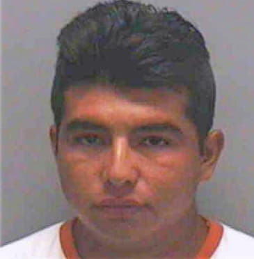 Garcia Victor - Lee County, FL 