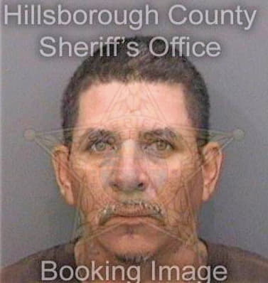 Castellano Julian - Hillsborough County, FL 