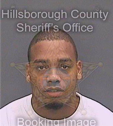 Watkins Vanbrett - Hillsborough County, FL 