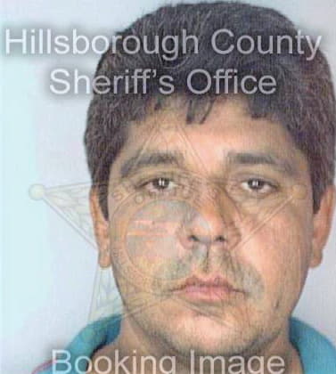 Ramirez Rolando - Hillsborough County, FL 