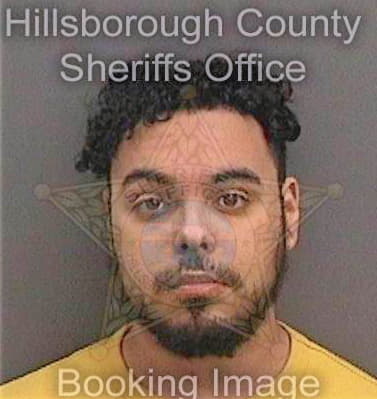 Bolanos Andrew - Hillsborough County, FL 