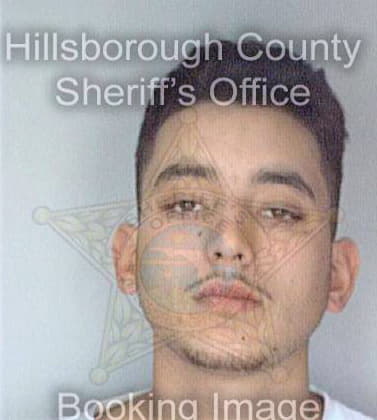 Guevara Ricardo - Hillsborough County, FL 