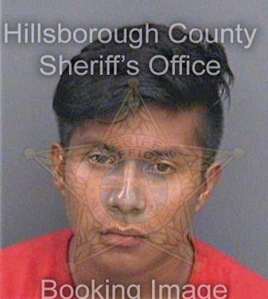 Sam Darwin - Hillsborough County, FL 