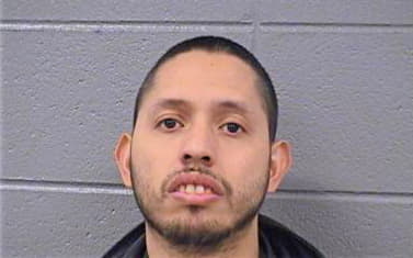 Alcaraz Jaime - Cook County, IL 