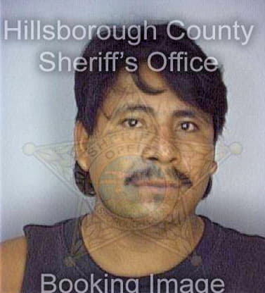 Rodas Roberto - Hillsborough County, FL 