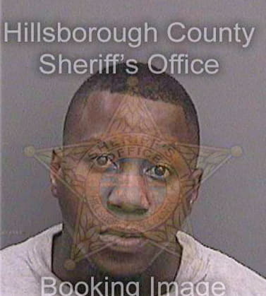 Lee Vincent - Hillsborough County, FL 