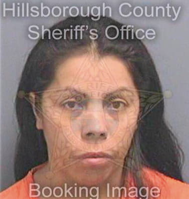 Dominguez Araceli - Hillsborough County, FL 