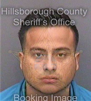 Castrogutierrez Fernando - Hillsborough County, FL 